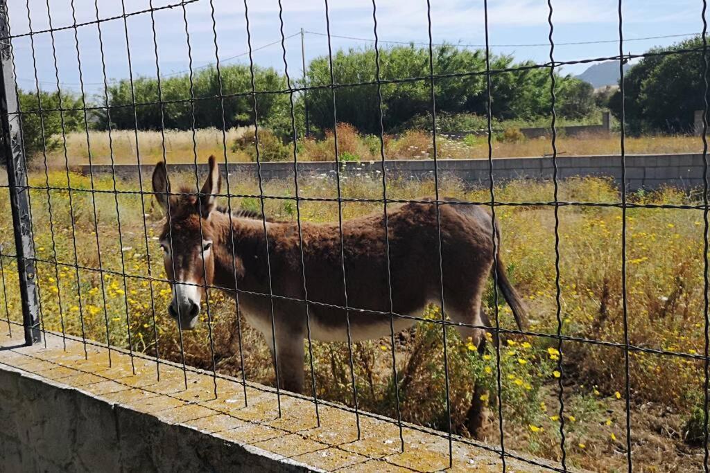 Cottege pegaso Villa Olbia Esterno foto